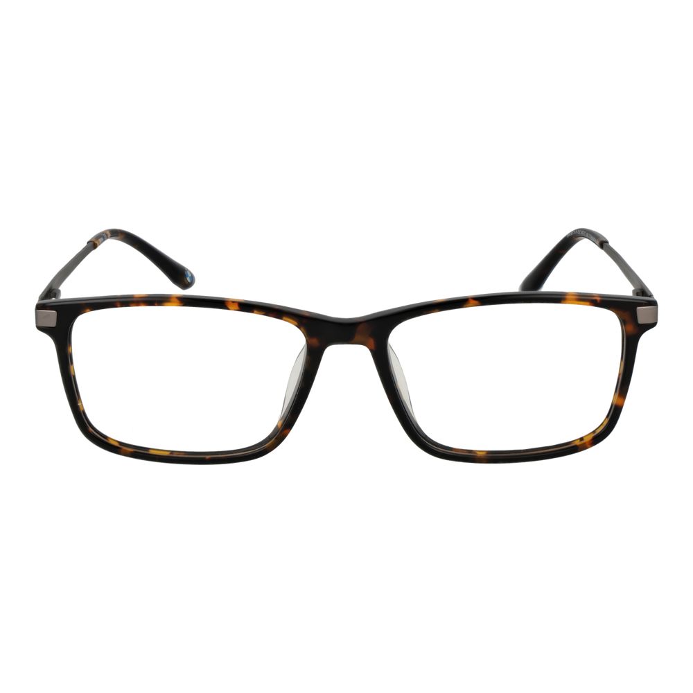 Brown Titanium Glasses (Frames)