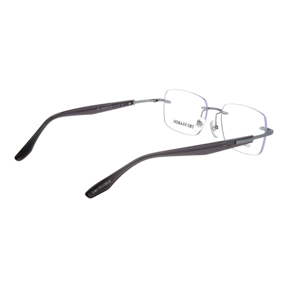 Silver Titanium Glasses (Frames)