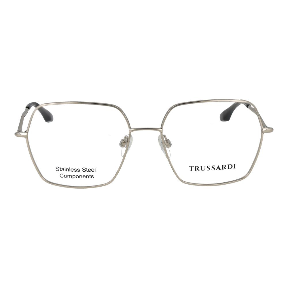 Silver Stainless Steel Glasses (Frames)